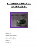 Poder proporcionar a las plantas no solo un balance adecuado de nutrientes orgánicos sino también apropiadas condiciones físicas mediante el uso de nitrato o sal de amonio.