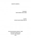 DIAGNOSTICO AMBIENTAL PROYECTO TERMOELÉCTRICA DE PAIPA.