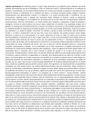 El mayor riesgo observado en el embarazo precoz