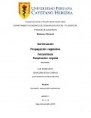 DEPARTAMENTO ACADEMICO DE CIENCIAS BIOLOGICAS Y FILOSOFICAS