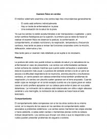 Examen físico en cerdos. Página 1