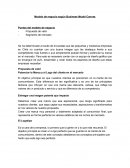 Modelo de negocio según Business Model Canvas Puntos del modelo de negocio