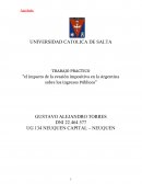 TRABAJO PRACTICO “el impacto de la evasión impositiva en la Argentina sobre los ingresos Públicos”