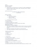 Diseño Educación Tecnológica