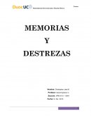 MEMORIAS Y DESTREZAS