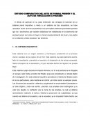 ESTUDIO COMPARATIVO DEL AUTO DE FORMAL PRISIÓN Y EL AUTO DE VINCULACIÓN A PROCESO