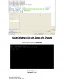 Administracion de base de datos Para trabajar con la interfaz deben ingresar el siguiente comando startx , ya al estar inicializado deben dirigir al terminal