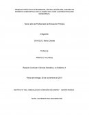 TRABAJO PRÁCTICO INTEGRADOR: ARTICULACIÓN DEL CONTEXTO TEÓRICO CONCEPTUAL DE LA DIDÁCTICA CON LAS PRÁCTICAS DE ENSEÑANZA.