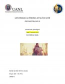 Orientación psicológica. Desarrollo social