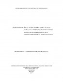 LAS GENERALIDADES DE LOS SISTEMAS DE INFORMACION