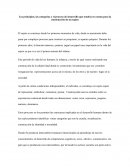 Los principios, las categorías y el proceso de desarrollo que tendría en cuenta para la construcción de un sujeto