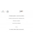 S2. Actividad 3. Ámbitos de validez en el Derecho Penal