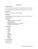 Guía Literatura II Corrientes literarias