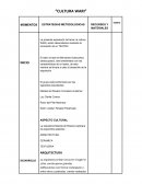 La presente exposición del tema La cultura WARI, serán desarrollados mediante la recreación de un TEATRO.