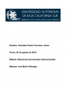 Relaciones economicas internacionales. OMC
