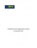 Programa de Seguridad, Salud Ocupacional