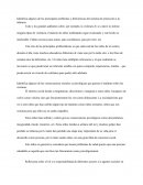 Identifica algunos de los principales problemas y deficiencias del sistema de protección a la infancia