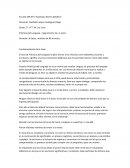 Prácticas del Lenguaje – Seguimiento de un autor