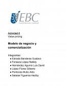Actividad 6 Value pricing Modelo de negocio y comercialización