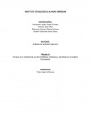 Ensayo de la importancia que tiene Software, Hardware y las Redes en la Gestion Empresarial.