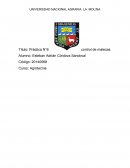 Práctica N°6 control de malezas