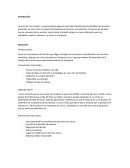 TAREA 8 La serie de “En terapia”