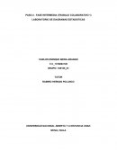 LABORATORIO DE DIAGRAMAS ESTADISTICAS