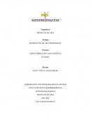 MI PROYECTO DE VIDA PROFESIONAL