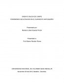 ENSAYO SALIDA DE CAMPO FENÓMENOS GEOLÓGICOS EN EL SUROESTE ANTIOQUEÑO