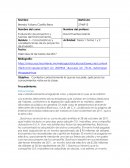 Características y consideraciones de los proyectos de inversión