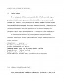 Análisis mercado helados