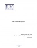 Ensayo Plan de Acción de Extintores