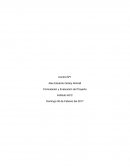 Tarea 1 Seleccionar una idea de proyecto para comercializar un producto o servicio