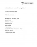 Primera Infancia Psicología del Desarrollo I: Niñez