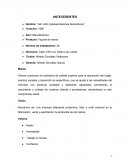 Ofrecer productos de poliresina de calidad superior para la decoración del hogar, eventos sociales y desarrollo de específicos, que se ajuste a las necesidades del mercado con personal