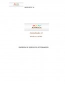 Nuestra propuesta apuesta a una solución de las necesidades pues brinda soluciones eficaces y accesibles para los pobladores de las ciudades de Asunción y Lambaré.