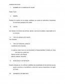 Agencia de viaje Reikel Travel