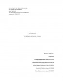 Título: La nueva cultura de la discapacidad y los modelos de rehabilitación.