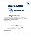 Modelo de negocios Nuestro producto va dirigido únicamente a personas del sexo femenino.