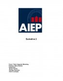 DESARROLLO DEL TEMA: - IDEA Y MODELO DE NEGOCIO