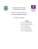 Cuestionario sobre el sistema digestivo