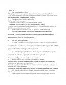 Capitulo 10 1)	¿Qué es una Planilla de Calculo?