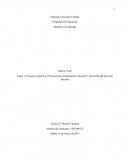 Tarea 1.2 Ensayo expositivo: El proceso de reclutamiento, selección y desarrollo del personal docente
