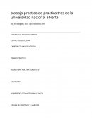 INVESTIGACIO trabajo practico de practica tres de la universidad nacional abierta