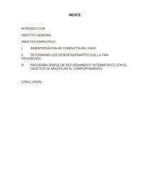 PROGRAMA SIMPLE DE REFORZAMIENTO INTERMITENTE CON EL OBJETIVO DE MODIFICAR EL COMPORTAMIENTO. Página 1