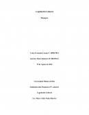 Un Ensayo de licencia de maternidad y empleadas de servicio domestico