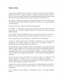 Bambu japones Durante los primeros meses no sucede nada apreciable.