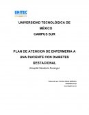 PLAN DE ATENCION DE ENFERMERIA A UNA PACIENTE CON DIABETES GESTACIONAL