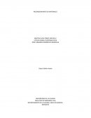 RECONOCIMIENTO DE MATERIALES INFORME DE LABORATORIO #1