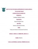 Ensayo del Derecho Internacional Económico